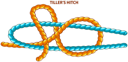 Wall Mural - Tillers hitch isolated on white. Binding and fastening unit for permanent bracing. Modification of straight knot where first loop makes two turns. Node is tied under tension. Twisted brown tape