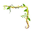 Tropical frame. Cartoon frame shaped lianas, jungle plant branches with leaves, borders with copy space. Isolated vector