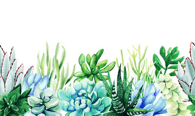 Wall Mural - Seamless border composed of green and blue succulent plants