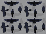 Fototapeta Dinusie - Various Crow Poses Cartoon Character Seamless Wallpaper Background