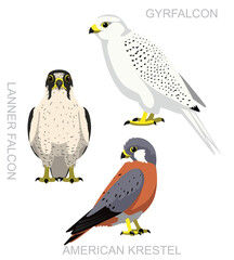 Wall Mural - Cute Bird Falconry Falcon Gyrfalcon Set Cartoon Vector