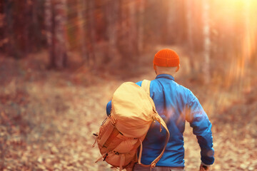 Wall Mural - man with  backpack a view from the back, hiking in the forest, autumn landscape, the back of  tourist with a backpack