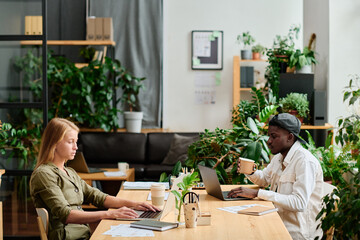 Two young interracial employees sitting in front of laptops, looking through online information and choosing data for new business project