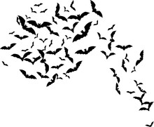 Bat Swarm. Flying Bat Silhouette. Halloween Decoration Element.