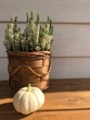 decorative white pumpkin lies on the table against the background of heather in a pot
