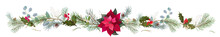 Panoramic View With Red Poinsettia Flower (New Year Star), Pine Branches, Cones, Holly Berry. Horizontal Border For Christmas On White Background. Realistic Illustration In Watercolor Style. Vector