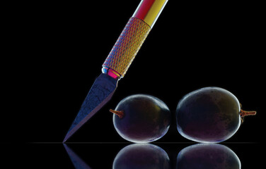 scalpel and two grapes on a dark background. close-up