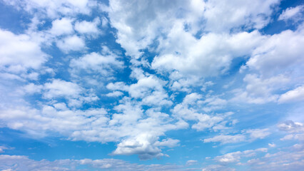 Wall Mural - summer sky with clouds