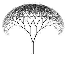 Symmetrical Fractal Tree. Generative Art Graphics