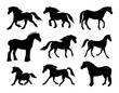 Vector set of hand drawn doodle sketch horse breeds silhouette isolated on white background