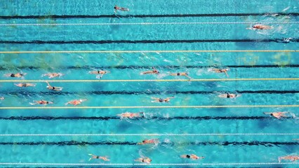 Wall Mural - Aerial View of Swimmers in a open swimming pool