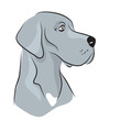 vector strong brave breed great dane portrait  pedigree big dog silhouette contour outline logo tatoo