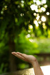 © maeching - Technology, hand holding with environment Icons over the Network connection on green background.