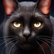 A close-up of a black cat's eyes on a black background. Halloween and horror atmospheres are portrayed. Evil eyes of panthers and witches. unlucky and superstition concepts. 3D illustration.
