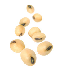 Wall Mural - Soybeans levitate isolated on white background.