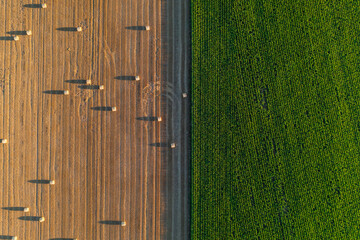 Aerial top down view of wheat and corn fields at sunset. Parallel lines and haystacks, image of agriculture in Normandy - green and gold