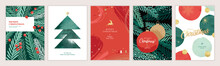 Christmas Card Background Free Stock Photo Public Domain Pictures Christmas Card Background Free Stock Photo Public Domain Pictures