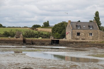 Wall Mural - old house on the river bank