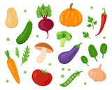 Fototapeta Kuchnia - Set with different cartoon vegetables and herbs for farmer's markets and festivals, shops, websites, apps etc. Organic and fresh local food. Vegetarian or vegan theme. Vector flat style illustration.
