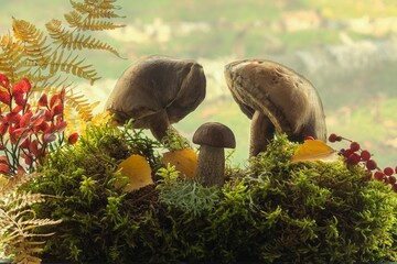 Wall Mural - Autumn still life with mushrooms in the forest