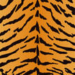 tiger skin pattern vector image