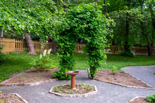 A Brick Walkway With A Birdbath In The Middle Of The Backyard. There's An Arbor Covered In Green Clematis Foliage. The Garden Is Enclosed By A Wooden Fence, Flower Beds, And Large Mature Trees. 