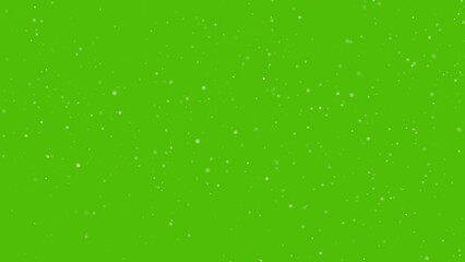 Wall Mural - dust particles on green screen. cinematic realistic animation macro slow motion 4k.
