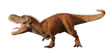 Tyrannosaurus Rex, T-rex Dinosaur From The Late Cretaceous, Isolated