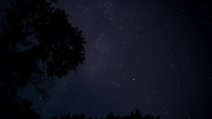 Wall Mural - Night timelapse of milky way moving across the sky above the tree silhouette. Hyperlapse, dolly shot. 