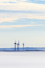 Wall Mural - Fog in a rolling landscape with wind turbines