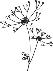 Sticker - Umbrella flower twig dill fennel cereal plant herb