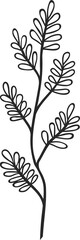 Wall Mural - Vector thyme branch isolated seasoning herb icon