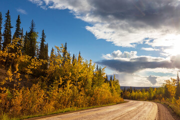 Canvas Print - Autumn road