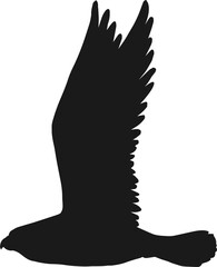 Sticker - Falcon silhouette, hawk or eagle wild flying bird