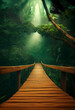 Lange Holzbrücke im dichten Regenwald im Sommer