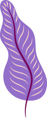 Poster - Purple leaf cartoon Mexican tree plant leafage