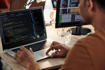 Wall Mural - software developer coding on laptop