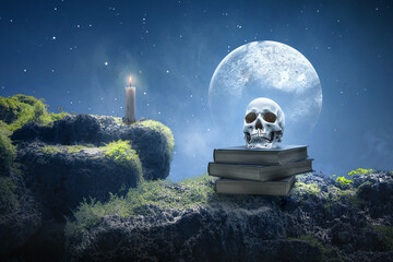 Wall Mural - Pile of the book with a human head skull