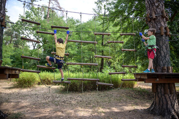 Wall Mural - Two strong excited young friends playing outdoors in rope park. Caucasian boys dressed in casual clothes and sneakers at warm sunny day. Active leisure time with children concept