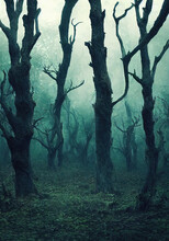 Illustration Of A Spooky And Creepy Forest With Trees In The Night. A Clearing In The Woods With Trees That Have Twisted Branches.