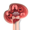 © Siberian Art - Organ donation 3d vector saving life concept