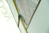 Fototapeta Tęcza - Yellow zipper of the inside of the tent when closed