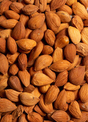 Wall Mural - Apricot kernels peeled close-up as a background. Apricot grains heap isolated on white background.