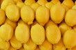 Des citrons jaunes