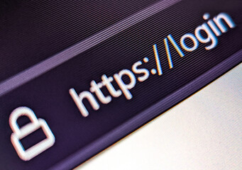 Wall Mural - closeup view of an internet web browser with secure url displayed on a pixelated screen