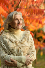 Canvas Print - Senior woman walking in the park in autumn