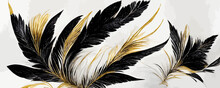  Luxury Black And White Background With Golden Feathers