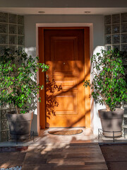 Poster - Contemporary house entrance wooden door on glass bricks wall, adorn with potted plants. Athens, Greece.