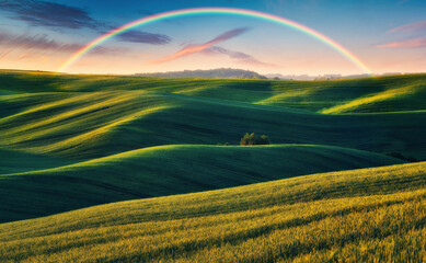 Wall Mural - Scenic view of rainbow over green field. dramatic gray sky over a picturesque hilly field
