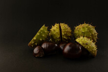 Chestnut Fruits Close Up. Background With Chestnuts.